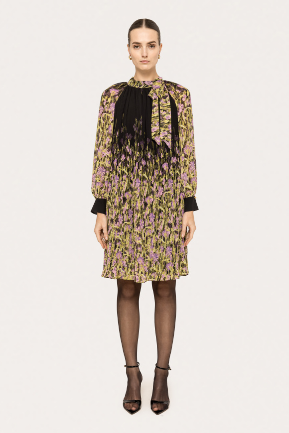 Printed pleated dress