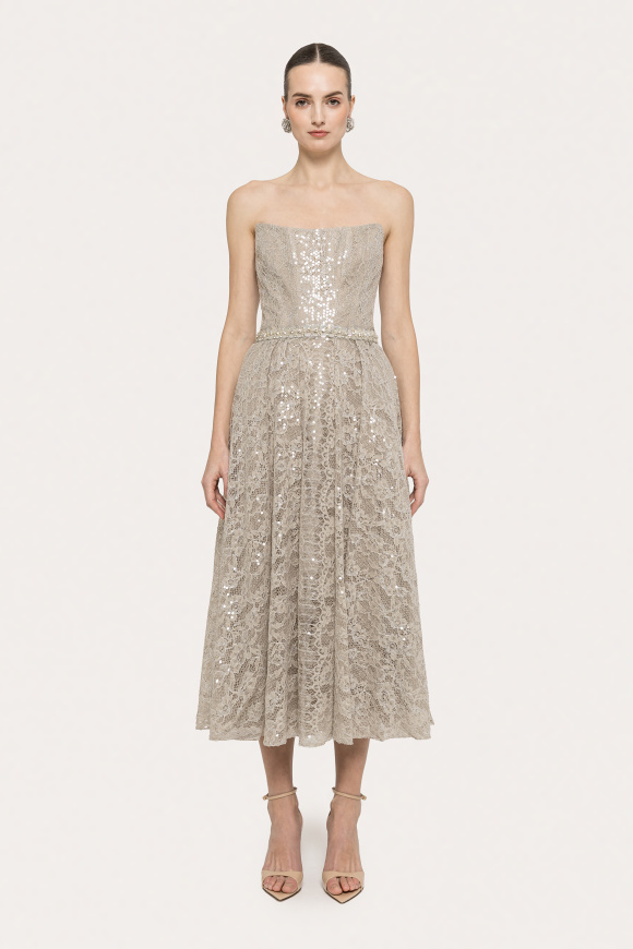 Sequin-embellished lace midi dress