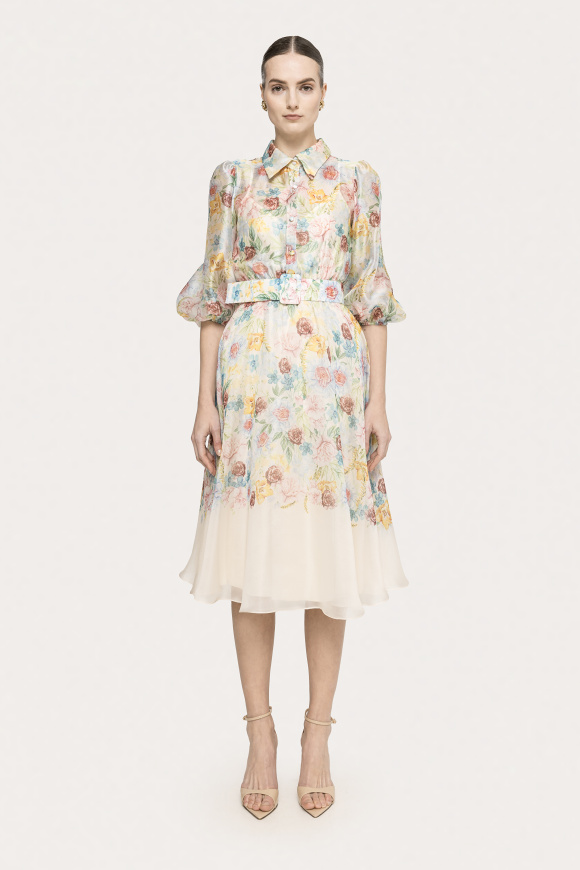 Printed organza midi dress