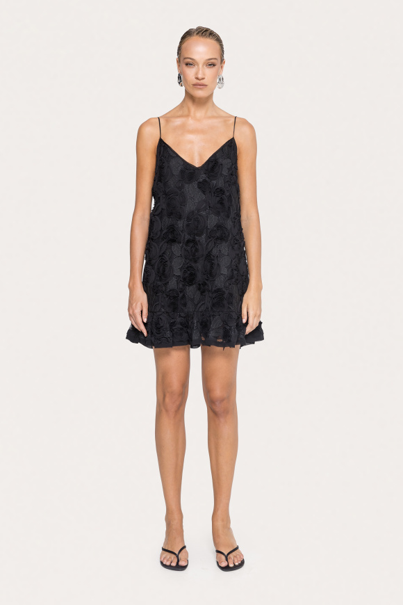 3D floral embroidery mini dress