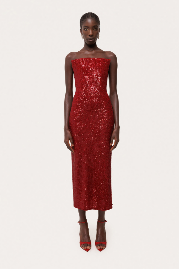 Sequin tulle insert maxi dress