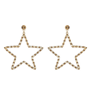 Crystal embellished star shaped earrings