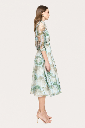 Printed organza midi dress