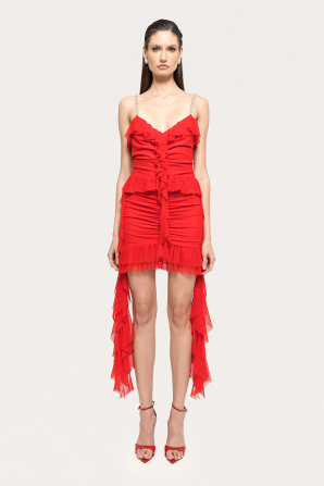 Ruffle trim mini dress