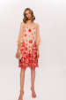 Floral embroidery dress